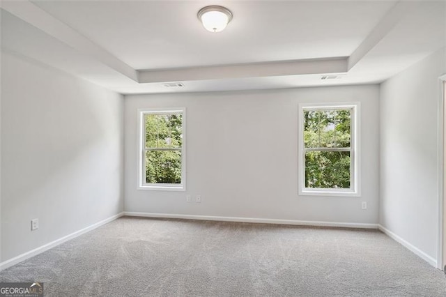 spare room with carpet flooring, a tray ceiling, and healthy amount of natural light