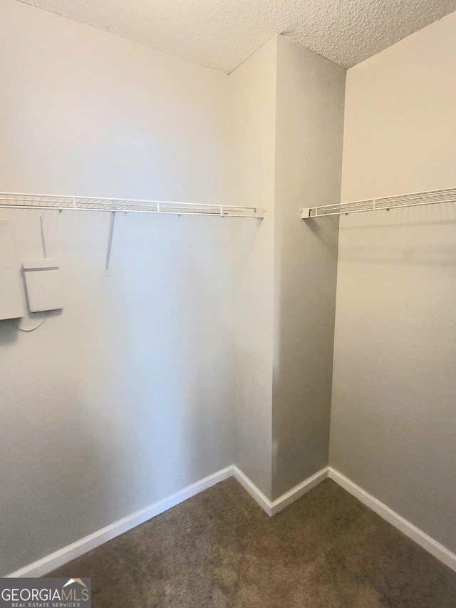 1464 Riverrock Trl, Riverdale, GA 30296 - spacious closet featuring dark colored carpet