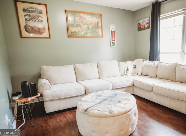living area featuring dark wood-style flooring