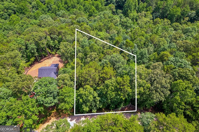 0 Alcan Way, Ellijay, GA 30540