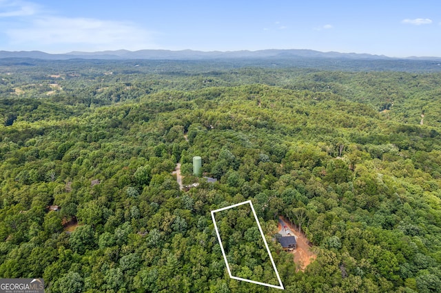 0 Alcan Way, Ellijay, GA 30540