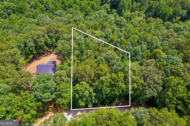 0 Alcan Way, Ellijay, GA 30540