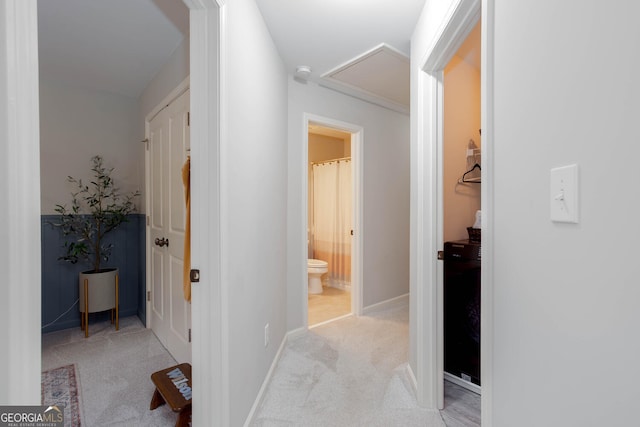 855 Mountain View Ter NW, Marietta, GA 30064 - hallway with carpet and baseboards