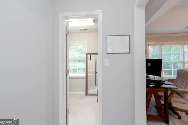 855 Mountain View Ter NW, Marietta, GA 30064 - office with carpet floors, baseboards, healthy amount of natural light, and ornamental molding