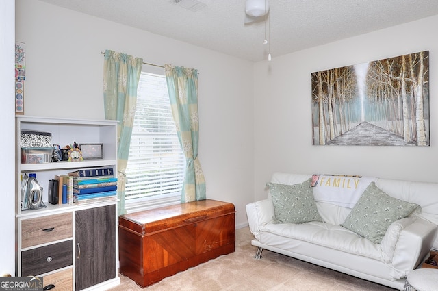 living area with plenty of natural light, carpet floors, and a textured ceiling