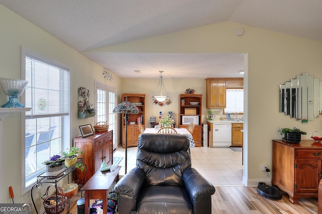 living room featuring vaulted ceiling and light wood finished floors