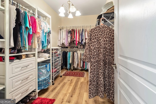 733 Firefly Ct, Griffin, GA 30223 - walk in closet featuring light wood finished floors and a chandelier
