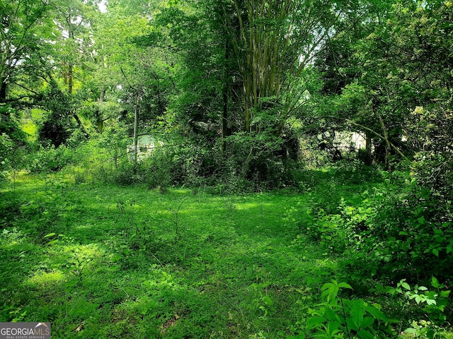 1790 W Currahee St, Toccoa, GA 30577 - view of nature