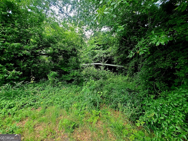 1790 W Currahee St, Toccoa, GA 30577 - view of nature