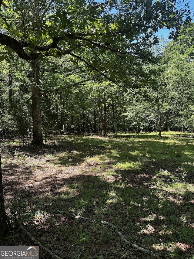178 Barnesville Ave, Barnesville, GA 30204