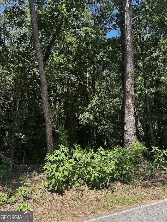 178 Barnesville Ave, Barnesville, GA 30204