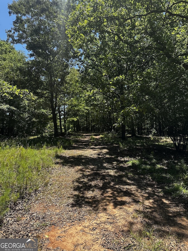 178 Barnesville Ave, Barnesville, GA 30204