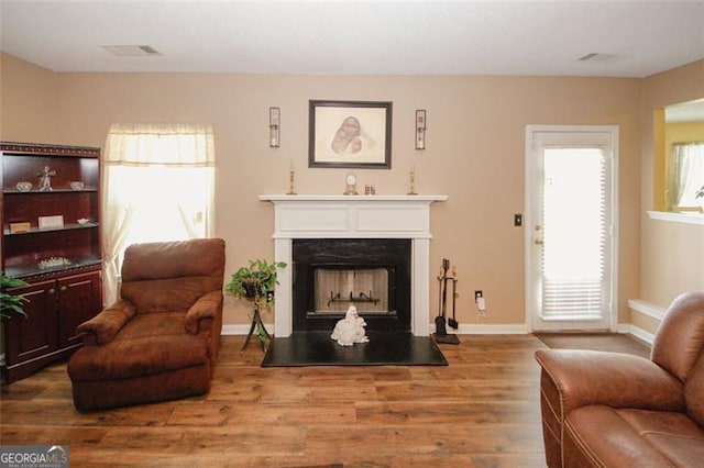 living room featuring wood finished floors, a fireplace, and baseboards