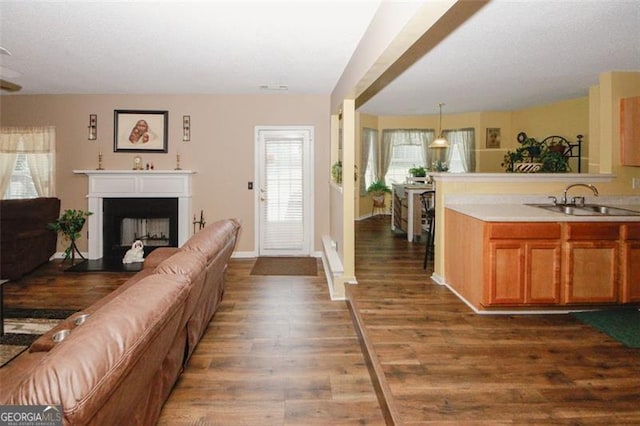 living area with dark wood finished floors, plenty of natural light, baseboards, and a fireplace
