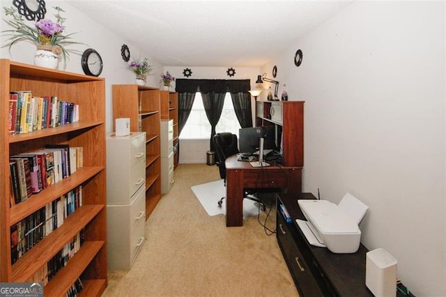 office space featuring carpet