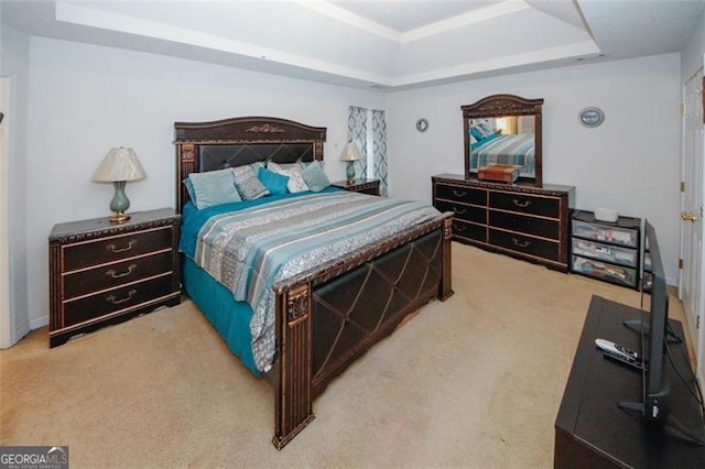 carpeted bedroom featuring a tray ceiling