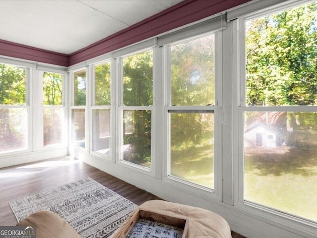 665 Mcclain Mountain Rd, Jasper, GA 30143 - sunroom with plenty of natural light and wood finished floors