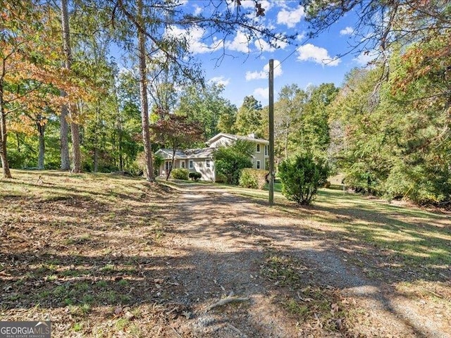 665 Mcclain Mountain Rd, Jasper, GA 30143 - view of yard