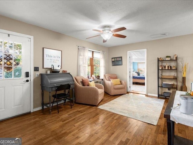 665 Mcclain Mountain Rd, Jasper, GA 30143 - living room featuring wood finished floors, plenty of natural light, and a ceiling fan
