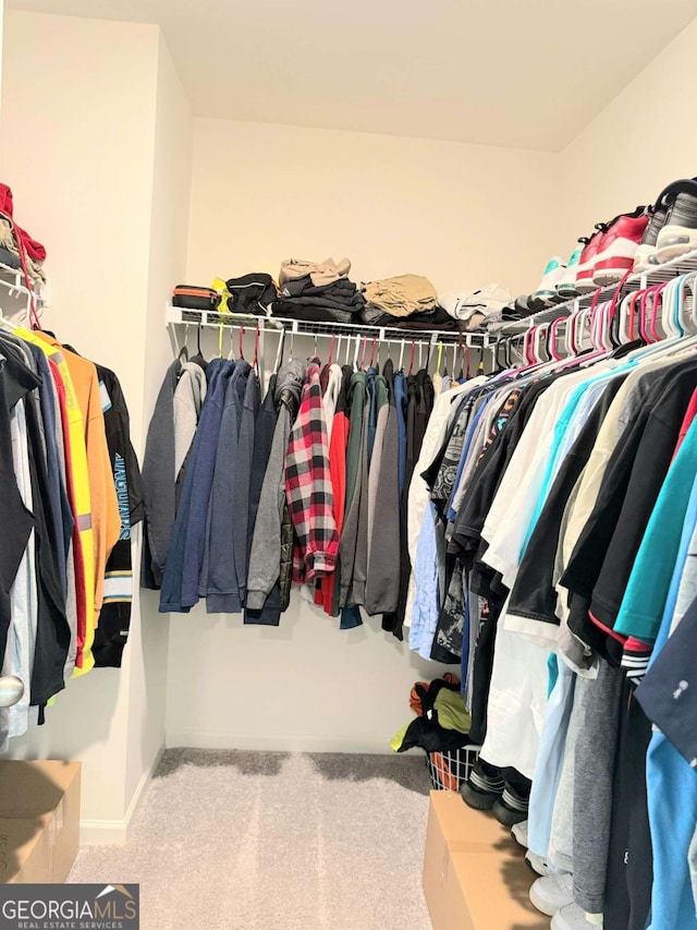189 Bentwater Way, Hoschton, GA 30548 - walk in closet featuring carpet