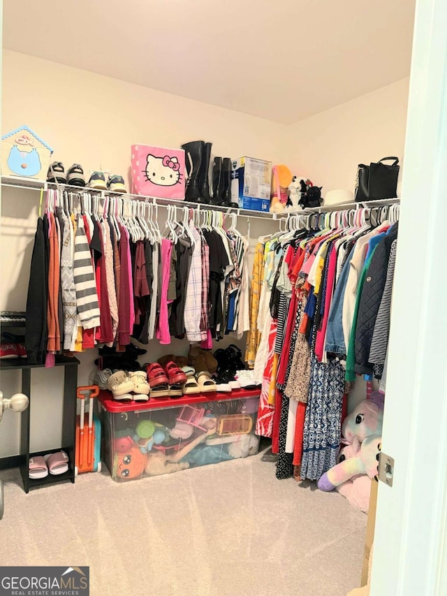 189 Bentwater Way, Hoschton, GA 30548 - spacious closet featuring carpet floors