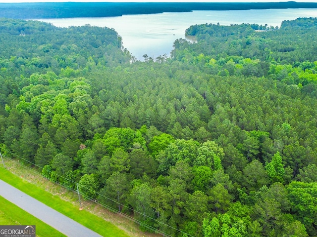 1078 Chennault Dr, Tignall, GA 30668