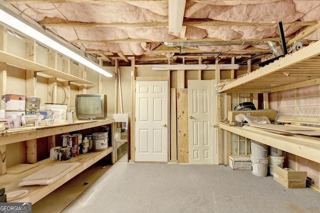 3565 Hickory Branch Trl, Suwanee, GA 30024 - view of storage area