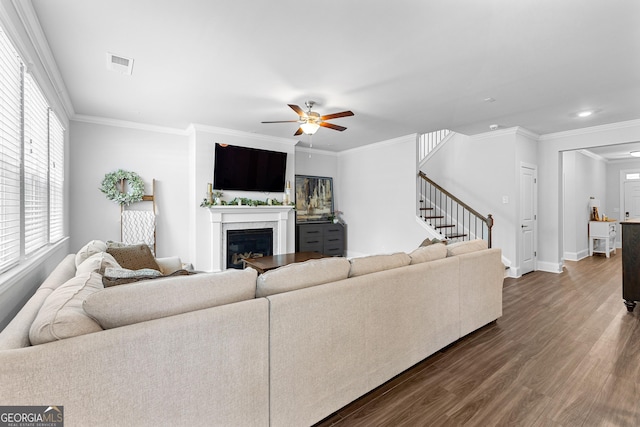 510 Cunninghame Ct, Peachtree City, GA 30269 - living area with ceiling fan, dark wood-style flooring, crown molding, a glass covered fireplace, and baseboards