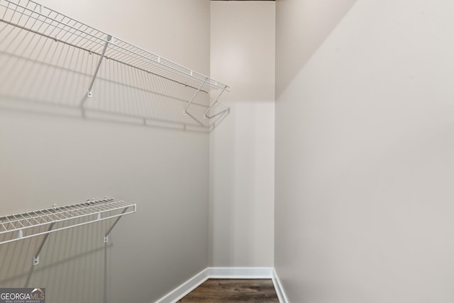 spacious closet featuring dark wood-type flooring
