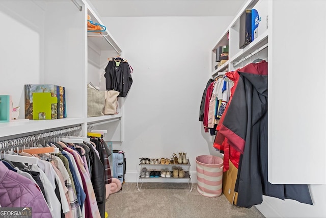 47 Wicklow Ct, Hoschton, GA 30548 - spacious closet with carpet