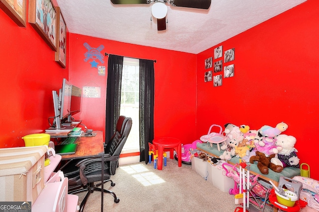 office space featuring carpet, ceiling fan, and a textured ceiling