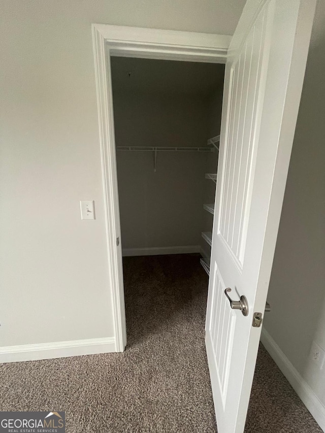 spacious closet with carpet flooring