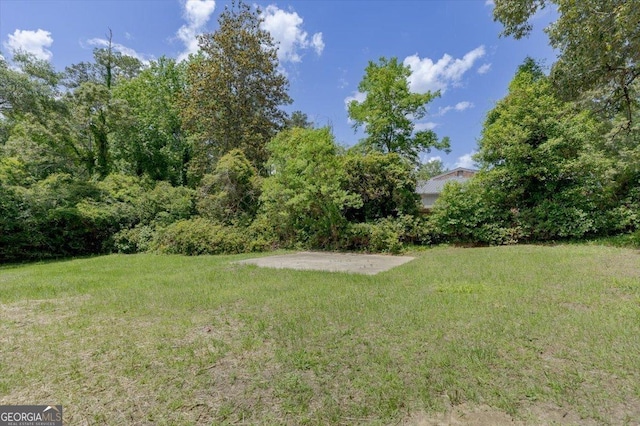 view of grassy yard