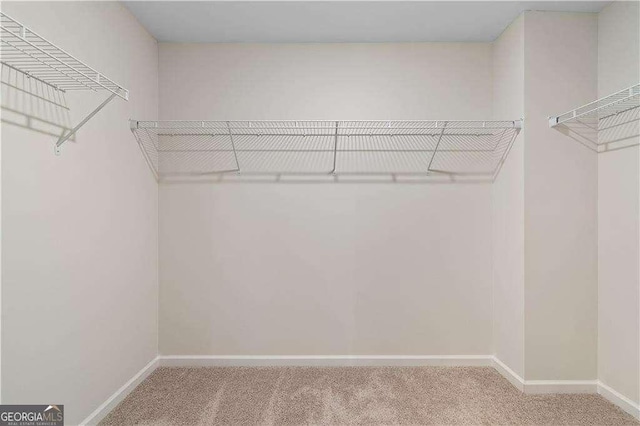 walk in closet with carpet flooring