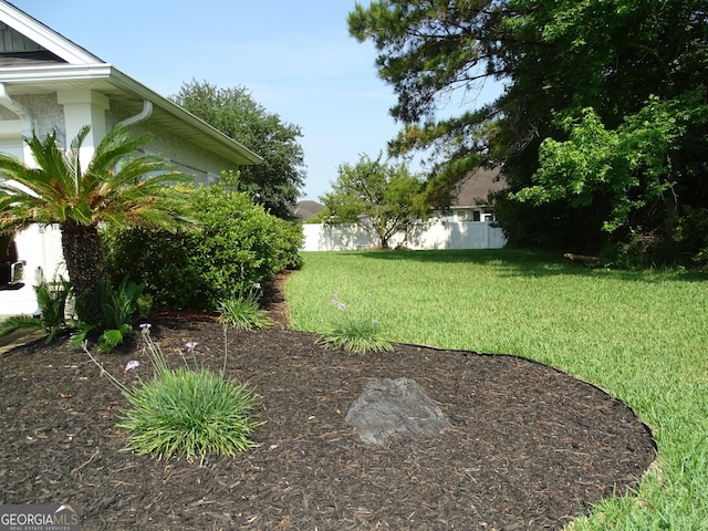 228 Laurel Landing Blvd, Kingsland, GA 31548 - view of yard