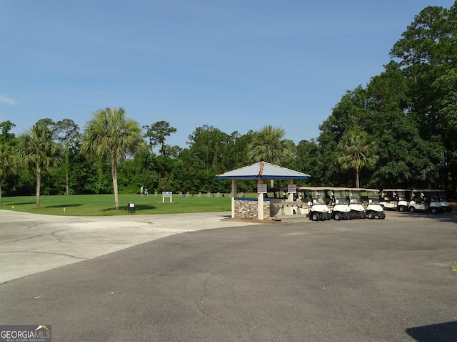 228 Laurel Landing Blvd, Kingsland, GA 31548 - view of community featuring view of scattered trees and a lawn