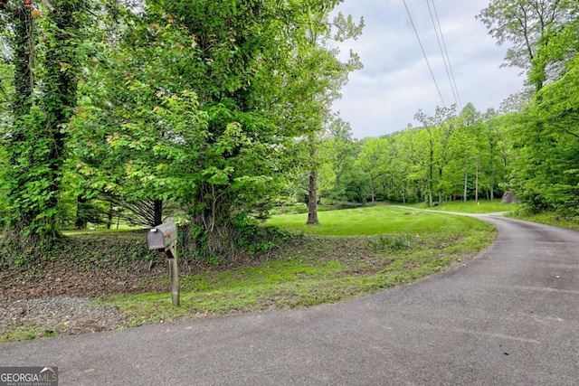 2877 Cynth Creek Rd, Hiawassee, GA 30546 - view of asphalt street with a wooded view
