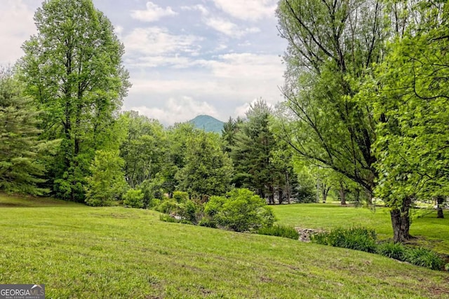 2877 Cynth Creek Rd, Hiawassee, GA 30546 - view of grassy yard with a mountain view
