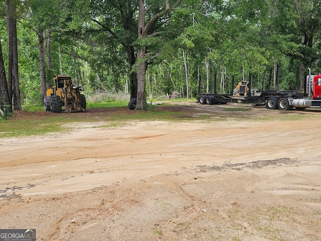 536 Gov Seay Rd, Collins, GA 30421 - view of yard