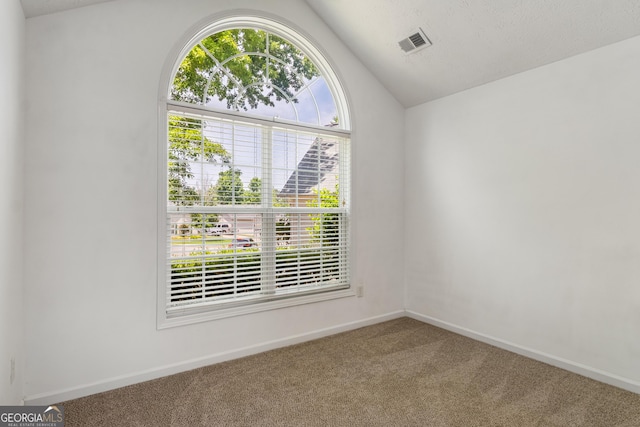 14 Winter Ln, Newnan, GA 30265 - carpeted spare room with lofted ceiling and baseboards