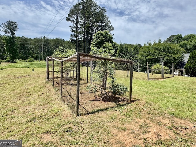 14 Winter Ln, Newnan, GA 30265 - view of grassy yard