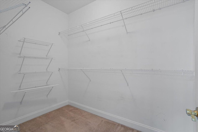 1253 Oakwood Pl, Loganville, GA 30052 - spacious closet with carpet