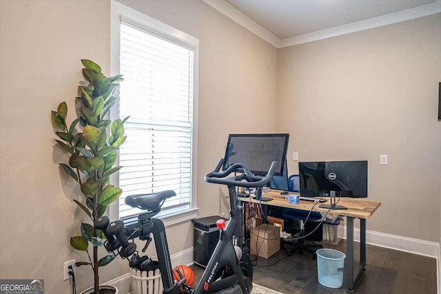 1325 Silo Bnd, Watkinsville, GA 30677 - office space featuring baseboards, wood finished floors, and ornamental molding