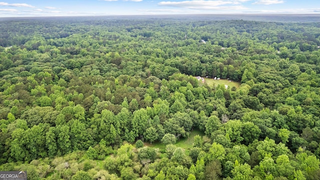 aerial view of a forest