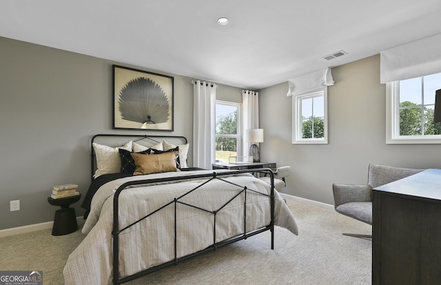 4297 Azalea Ridge Way, Hoschton, GA 30548 - bedroom featuring carpet, multiple windows, and baseboards