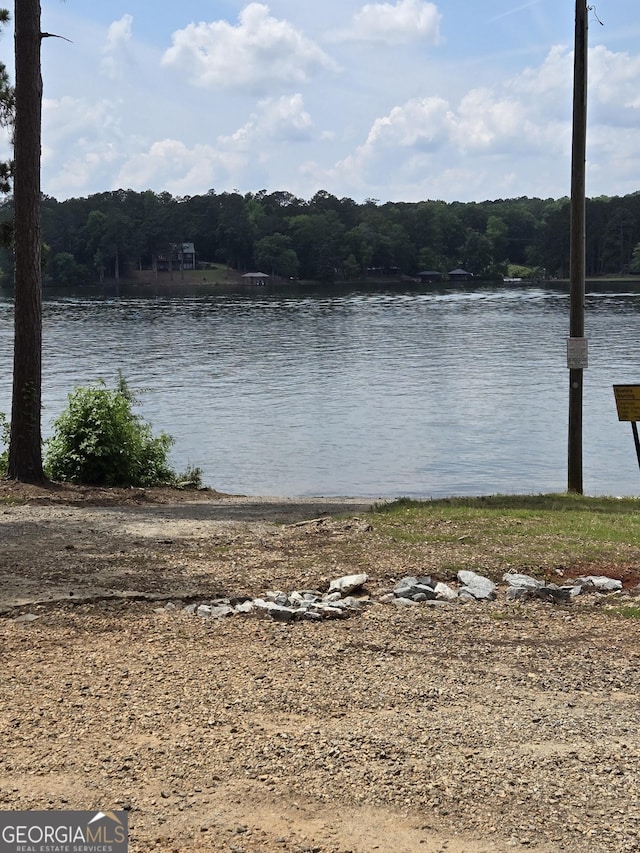 water view featuring a heavily wooded area