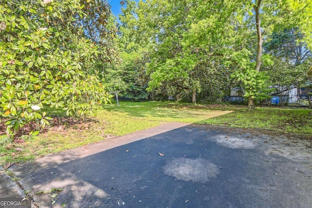 view of green lawn with a patio area