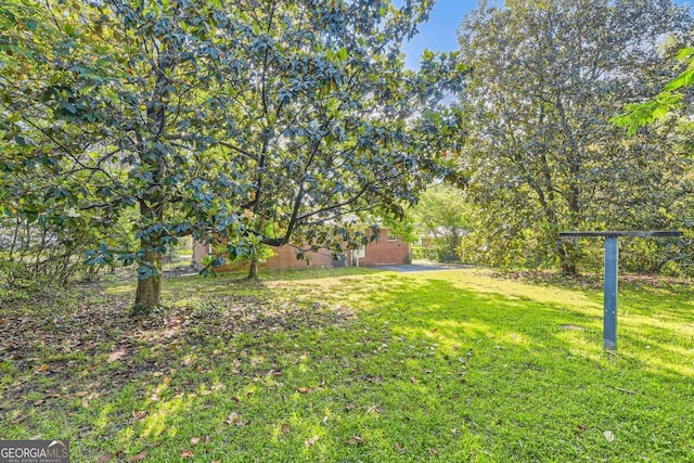view of grassy yard