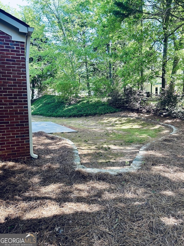 6605 New Ridge Ct, Cumming, GA 30041 - view of yard