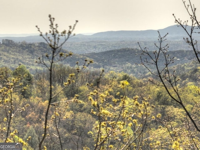 LOT4 Wilderness Way, Ellijay, GA 30536